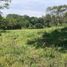  Land for sale in Tamesis, Antioquia, Tamesis