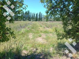  Terreno (Parcela) en venta en Rio Negro, General Roca, Rio Negro