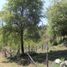  Terreno (Parcela) en venta en San Cristobal De Las Casas, Chiapas, San Cristobal De Las Casas
