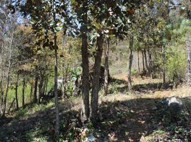  Terreno (Parcela) en venta en San Cristobal De Las Casas, Chiapas, San Cristobal De Las Casas