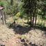  Terreno (Parcela) en venta en San Cristobal De Las Casas, Chiapas, San Cristobal De Las Casas