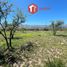  Terreno (Parcela) en venta en Junin, San Luis, Junin