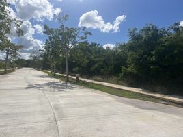  Grundstück zu verkaufen in Conkal, Yucatan, Conkal