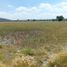  Land for sale in Villa De Tezontepec, Hidalgo, Villa De Tezontepec