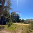  Terreno (Parcela) en venta en Cardenal Caro, Libertador General Bernardo O'Higgins, Pichilemu, Cardenal Caro