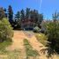  Terreno (Parcela) en venta en Cardenal Caro, Libertador General Bernardo O'Higgins, Pichilemu, Cardenal Caro