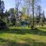  Land for sale in Los Rios, Mafil, Valdivia, Los Rios