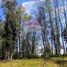  Land for sale in Los Rios, Mafil, Valdivia, Los Rios