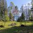  Land for sale in Los Rios, Mafil, Valdivia, Los Rios