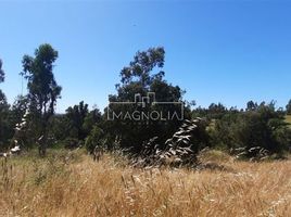  Terreno (Parcela) en venta en Valparaíso, Santo Domingo, San Antonio, Valparaíso