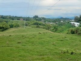  Land for rent in Pereira, Risaralda, Pereira, Risaralda, Colombia