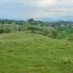  Grundstück zu vermieten in Pereira, Risaralda, Pereira, Risaralda