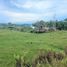  Land for rent in Pereira, Risaralda, Pereira, Risaralda, Colombia