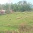  Land for rent in Pereira, Risaralda, Pereira, Risaralda, Colombia