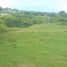  Land for rent in Pereira, Risaralda, Pereira, Risaralda, Colombia