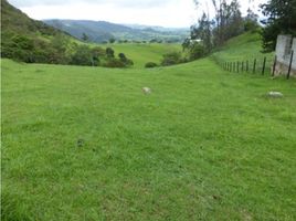  Land for sale in La Calera, Cundinamarca, La Calera