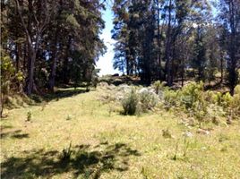  Terreno (Parcela) en venta en Retiro, Antioquia, Retiro