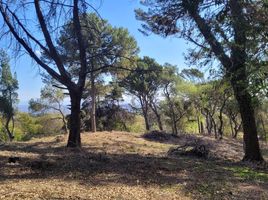  Terreno (Parcela) en venta en Cordobá, Punilla, Cordobá