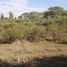  Land for sale in Colon, Cordoba, Colon