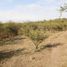  Land for sale in Colon, Cordoba, Colon