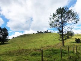  Terreno (Parcela) en venta en Retiro, Antioquia, Retiro