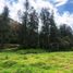  Land for sale in Retiro, Antioquia, Retiro