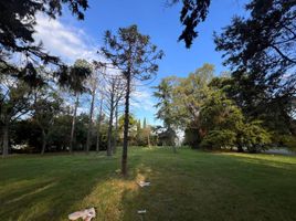  Land for sale in La Plata, Buenos Aires, La Plata