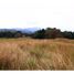  Land for sale in Nilo, Cundinamarca, Nilo