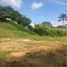  Land for sale in Pereira, Risaralda, Pereira