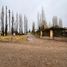  Land for sale in Confluencia, Neuquen, Confluencia