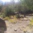  Land for sale in Rio Negro, Bariloche, Rio Negro