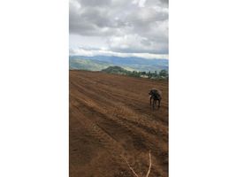  Terreno (Parcela) en venta en Valle Del Cauca, Buenaventura, Valle Del Cauca