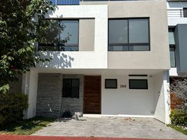 Appartement 4 chambre à vendre à Zapopan, Jalisco, Zapopan