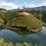  Land for sale in Guatape, Antioquia, Guatape