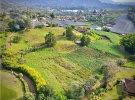  Land for sale in El Carmen De Viboral, Antioquia, El Carmen De Viboral