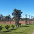  Land for sale in San Lorenzo, Santa Fe, San Lorenzo