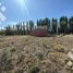  Land for sale in Neuquen, Confluencia, Neuquen