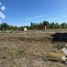  Land for sale in Neuquen, Confluencia, Neuquen