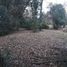  Land for sale in Exaltacion De La Cruz, Buenos Aires, Exaltacion De La Cruz
