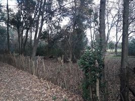 Land for sale in Exaltacion De La Cruz, Buenos Aires, Exaltacion De La Cruz