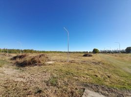  Land for sale in General Roca, Rio Negro, General Roca