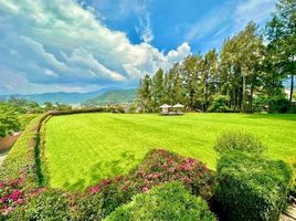 在墨西哥出售的 房产, Valle De Bravo, Mexico, 墨西哥