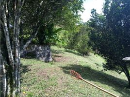  Land for sale in Manizales, Caldas, Manizales