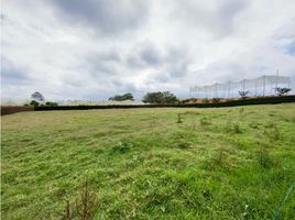 Terrain à vendre à Rionegro, Antioquia, Rionegro, Antioquia
