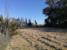  Terreno (Parcela) en venta en La Plata, Buenos Aires, La Plata