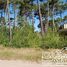  Land for sale in Pinamar, Buenos Aires, Pinamar