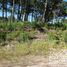  Land for sale in Pinamar, Buenos Aires, Pinamar