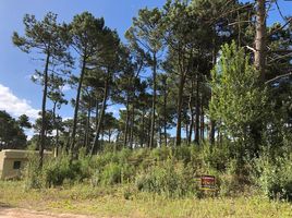  Land for sale in Pinamar, Buenos Aires, Pinamar