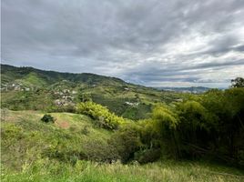  Terreno (Parcela) en venta en Dosquebradas, Risaralda, Dosquebradas