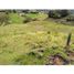  Land for sale in La Ceja, Antioquia, La Ceja